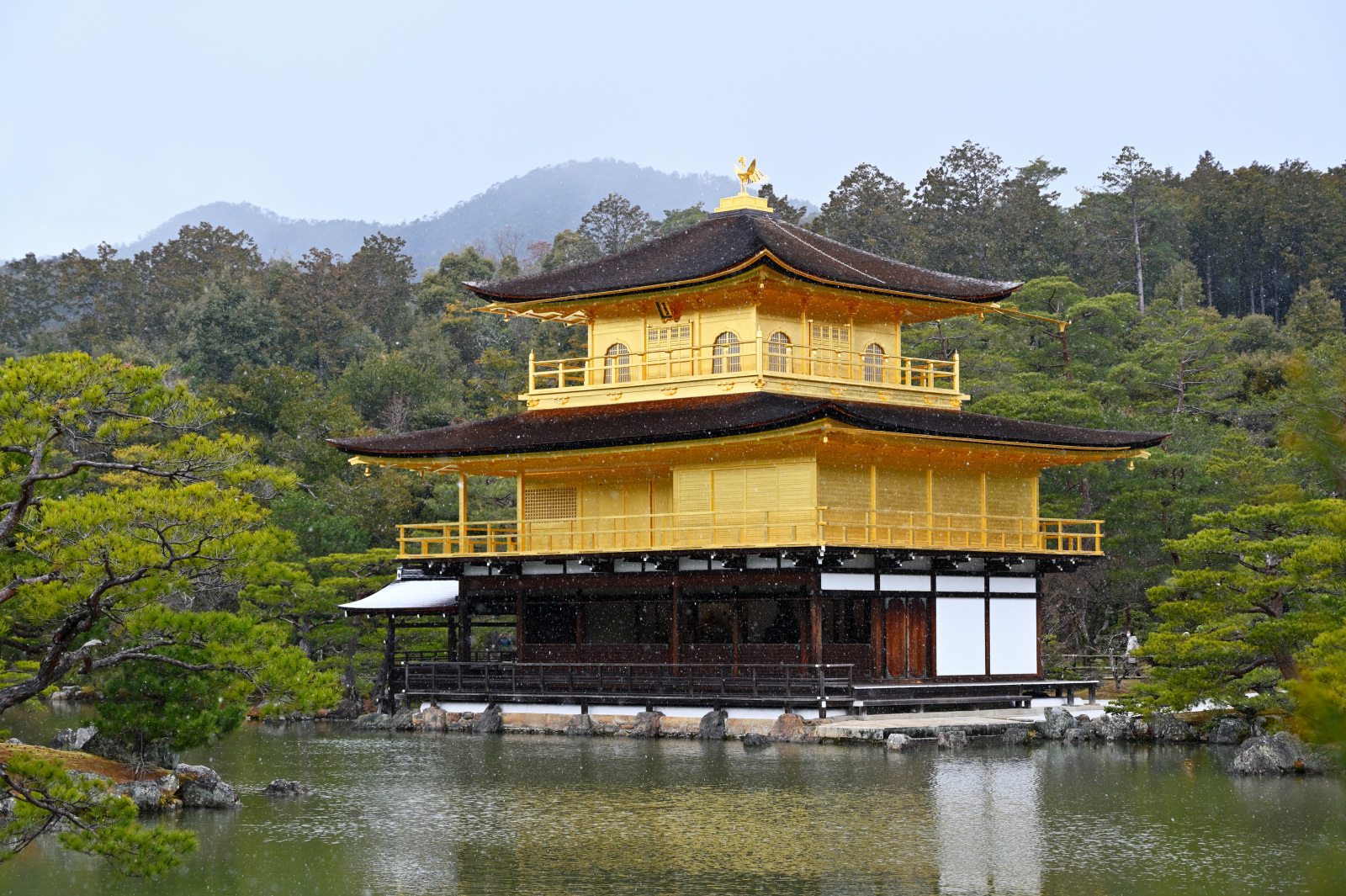 京都金閣寺